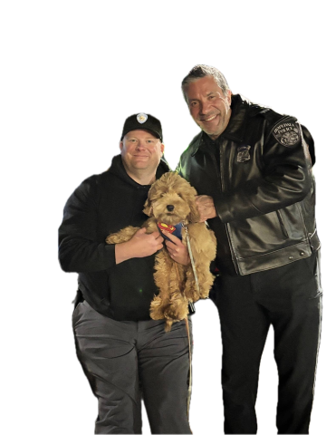 hpd support dog with officers